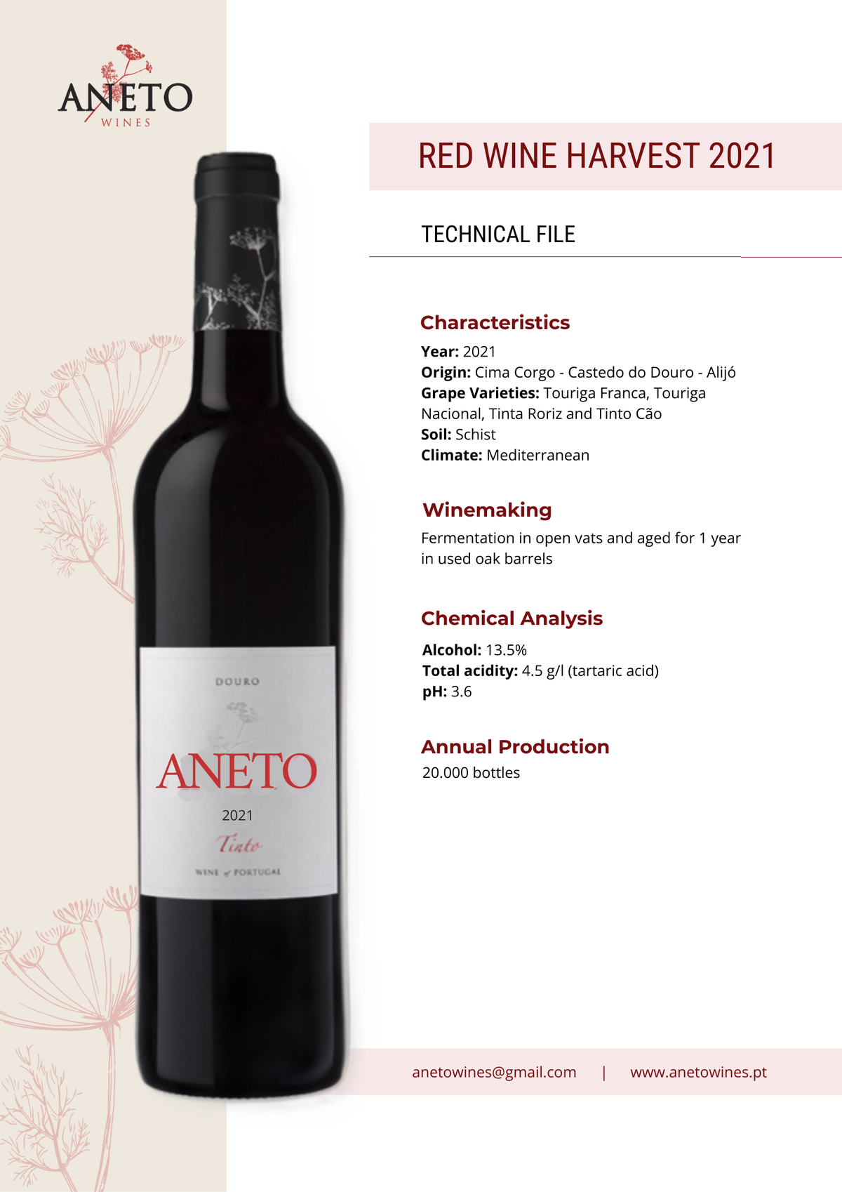Aneto Tinto 2021