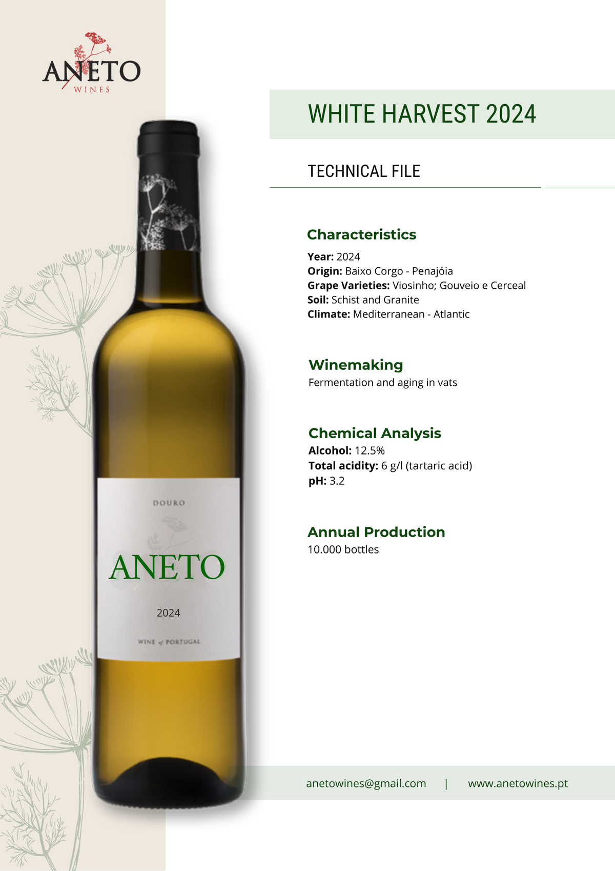 Aneto Branco 2024