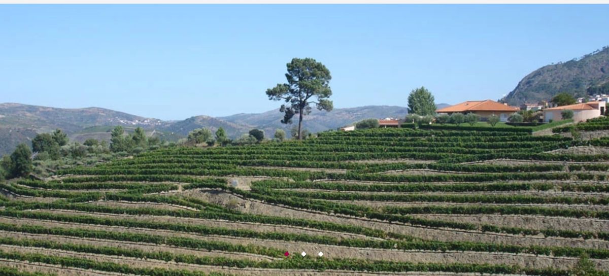 The people behind Valados de Melgaço