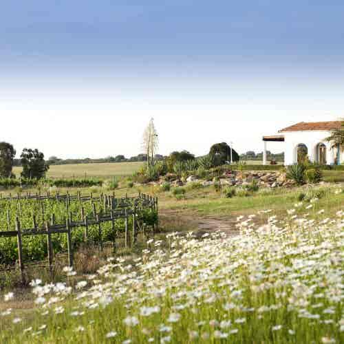 Herdade dos Grous (167)